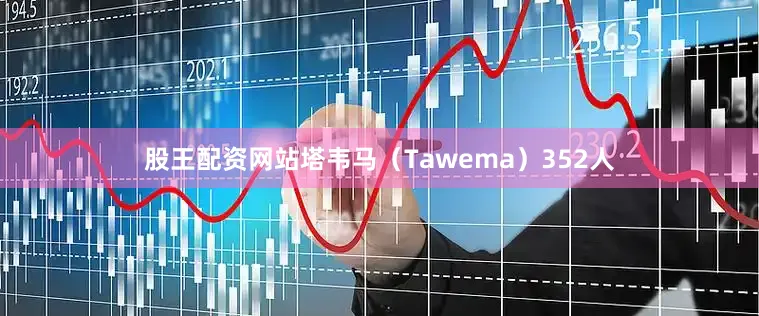 股王配资网站塔韦马（Tawema）352人